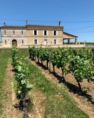 Gite Du Chateau La Rose Des Vents Villa Puisseguin Екстериор снимка