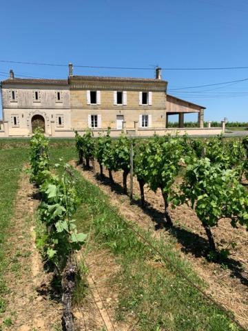 Gite Du Chateau La Rose Des Vents Villa Puisseguin Екстериор снимка